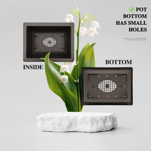 Rectangle Archaizing Brown Plant Pot With Drainage Plastic Nursery Pots For Desktop Café Windowsill Living Room Balcony Library Reading Area Hotel Lobby Planters For Indoor Plants 5 Pcs