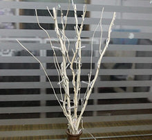 Load image into Gallery viewer, Led Wishing Tree Branch Lights Home Bedroom Decoration Night Light 5 Branches of 25leds Bulb- Color Rgb Multi Color White Light-high 50cm- 110v Indoor Living Room Lighting Garden Lamps -For Wedding Events Christmas Holiday Brithday Club Lights Qbzag